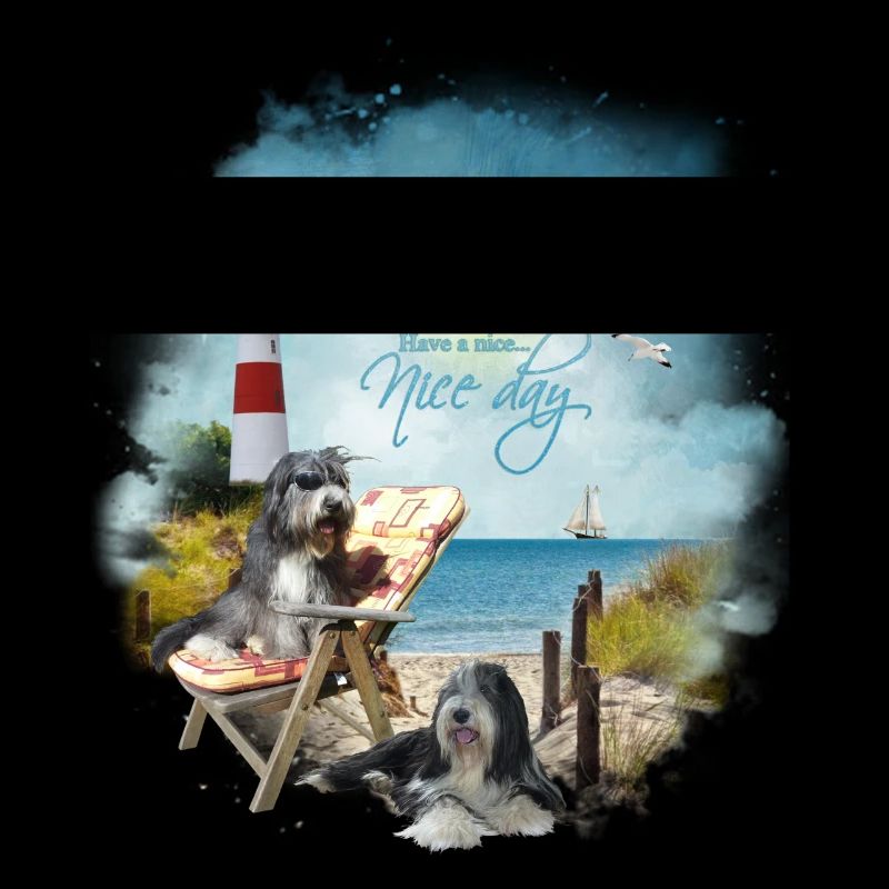 Bearded Collie - maritim