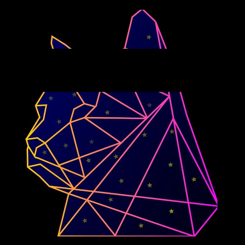 Space Cat