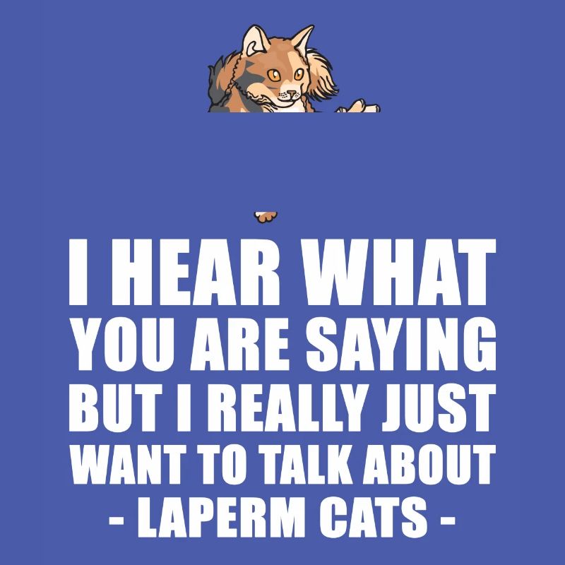 LaPerm Chat cadeau mignon