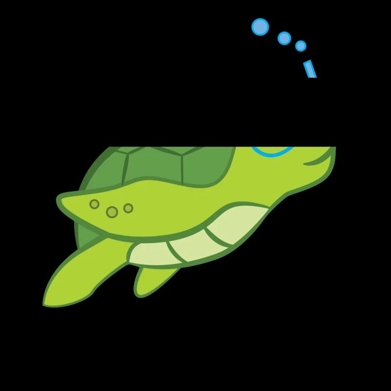 Turtle - Turtle Lover - Turtles