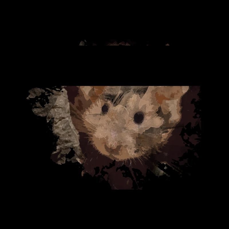 hamster