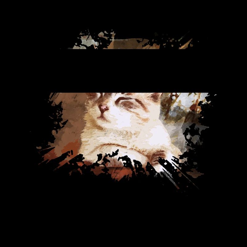 chat