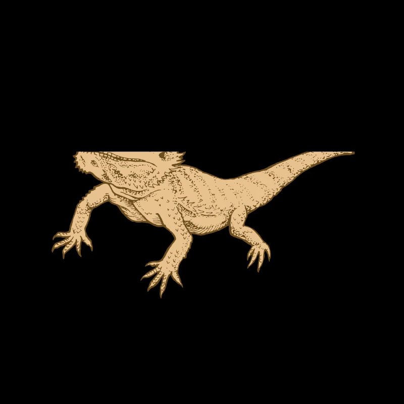 bearded dragon