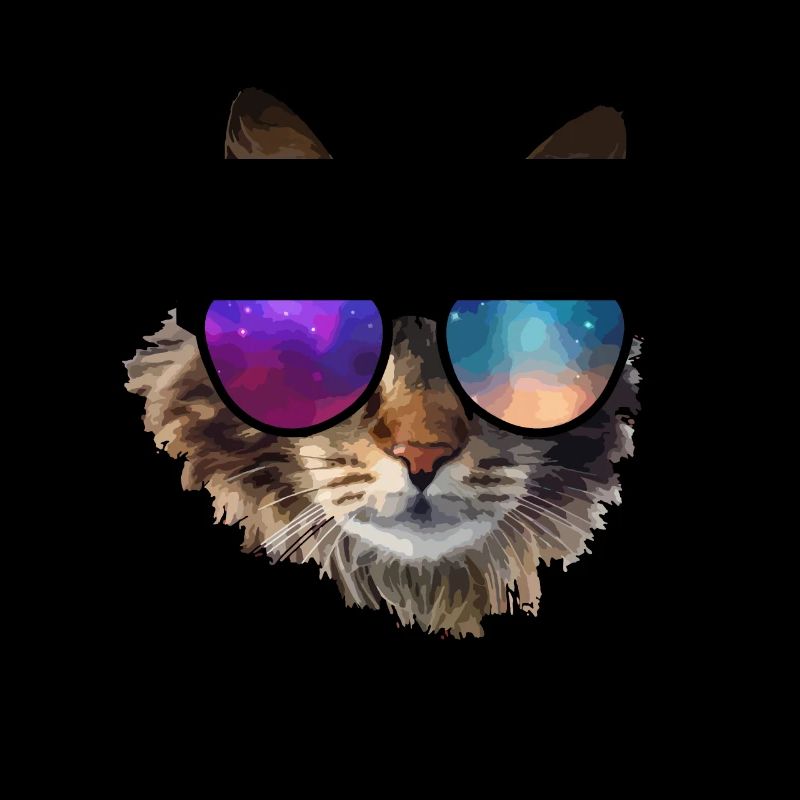 Katze