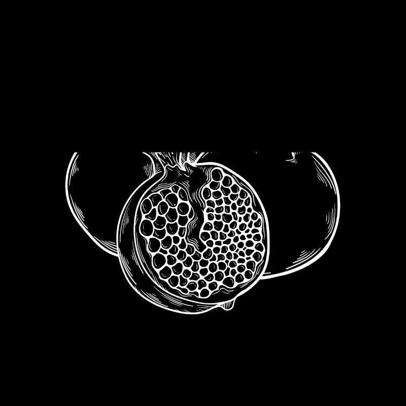 Pomegranate Fruit Fruit Fruit