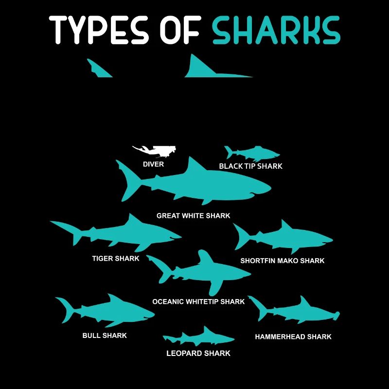 9 types de cadeau de requin Shark Ocean Beach