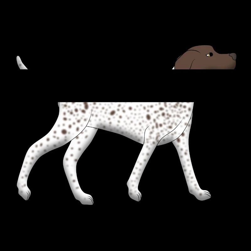 Pointer rennt