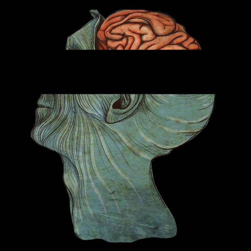 Brain