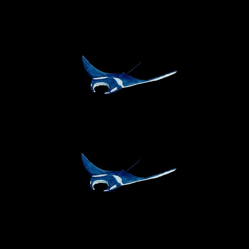 4 Mantarochen