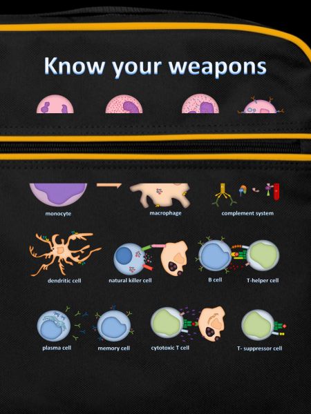 Immune system