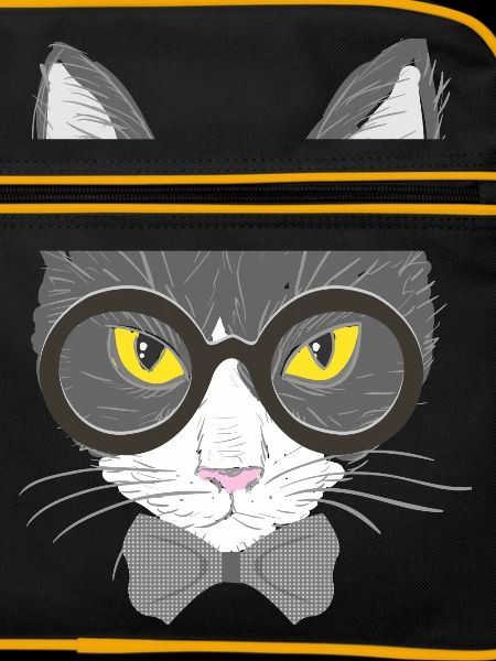 cat face