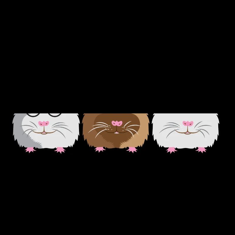 Trois petits cochons d'Inde