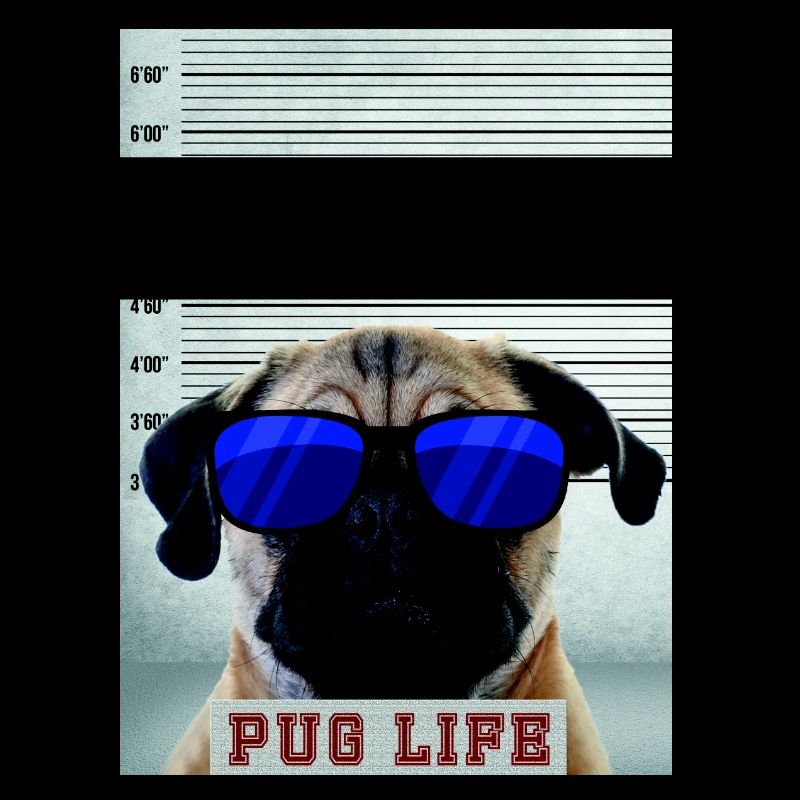 pug is life