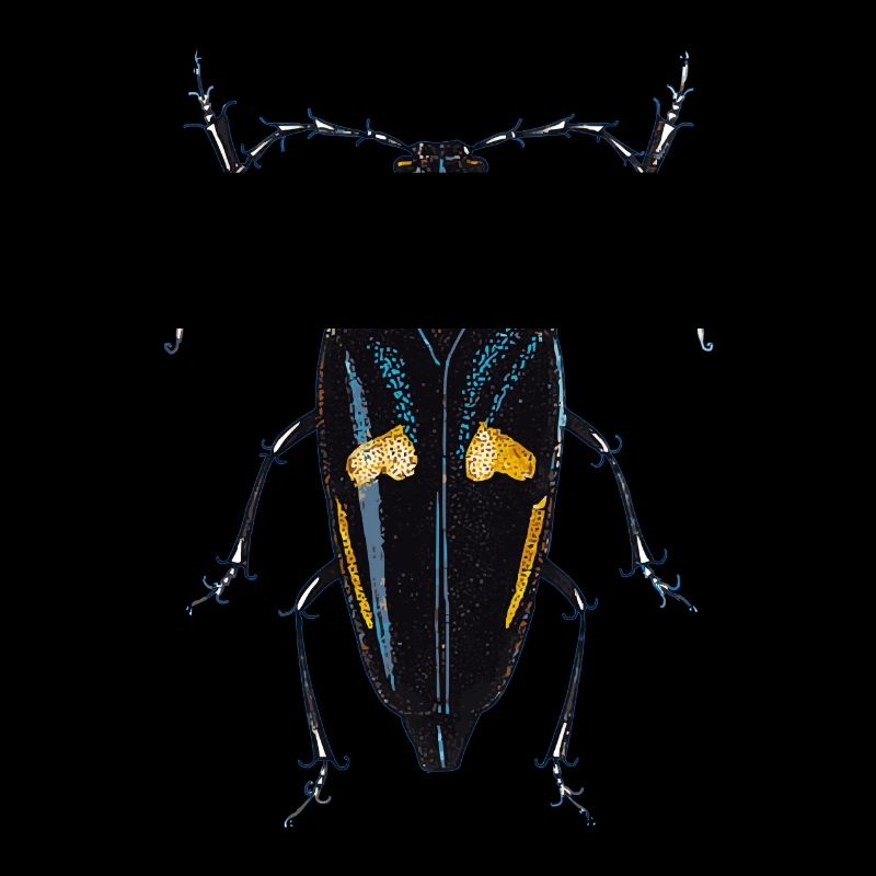insecte