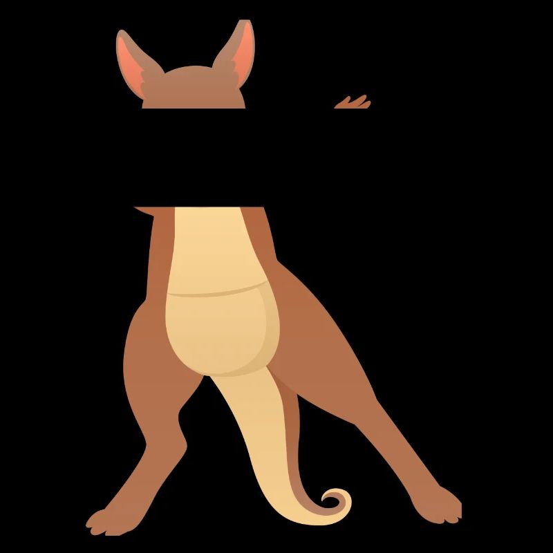 Kangaroo Dab Dance