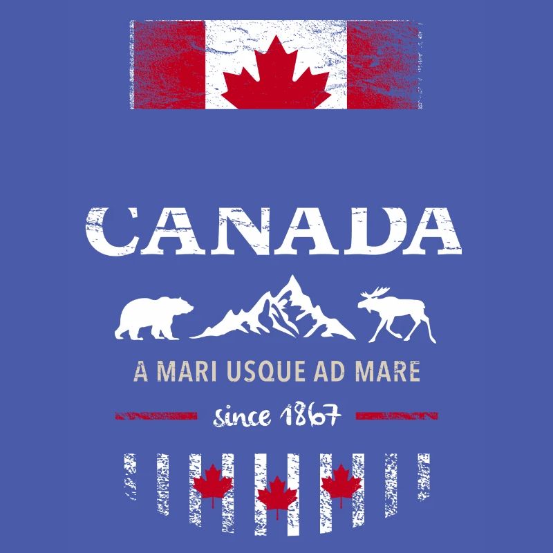 Canada Ottawa Maple Leaf Maple Leaf Canada America