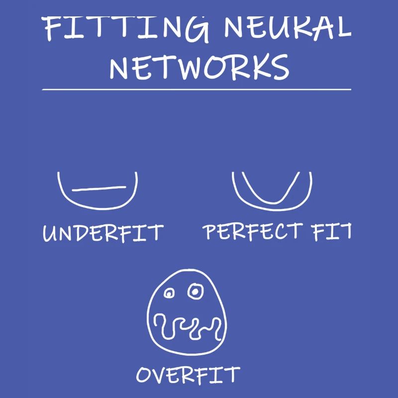 Datascience: Neural Networks Model Fitting (White)