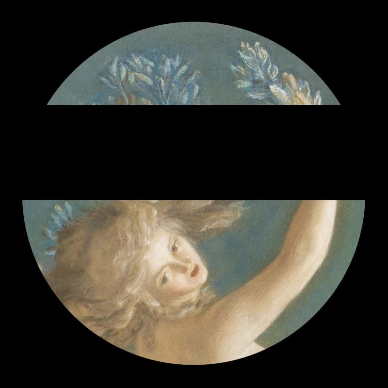 Daphne turning into a laurel tree