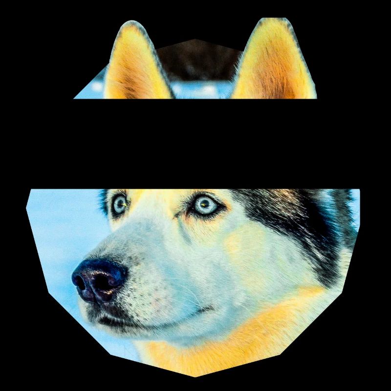 Husky