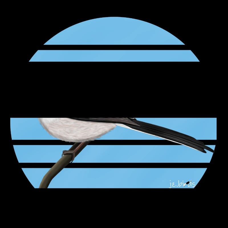 conception d'oiseaux à longue queue