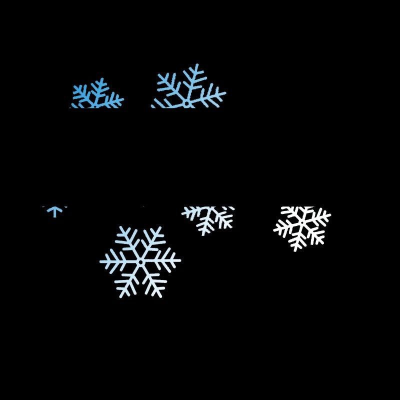 Winter Snowflake