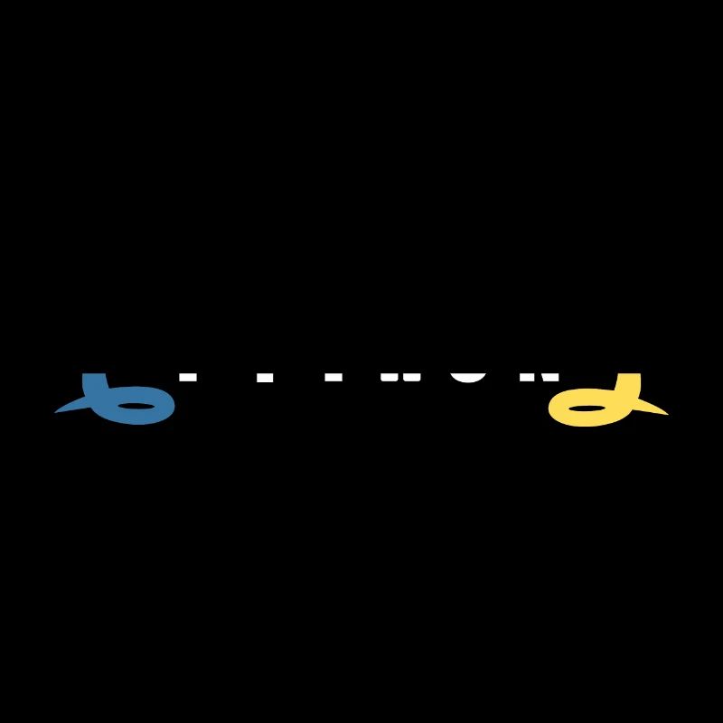 Idée cadeau codeur programmeur développeur Python