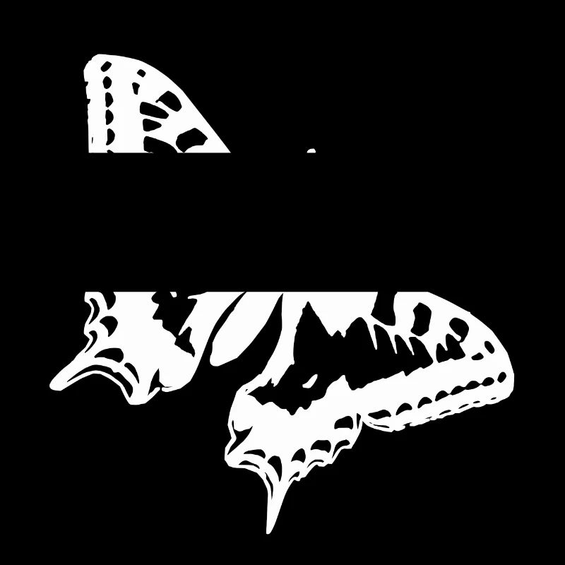 Papillon blanc