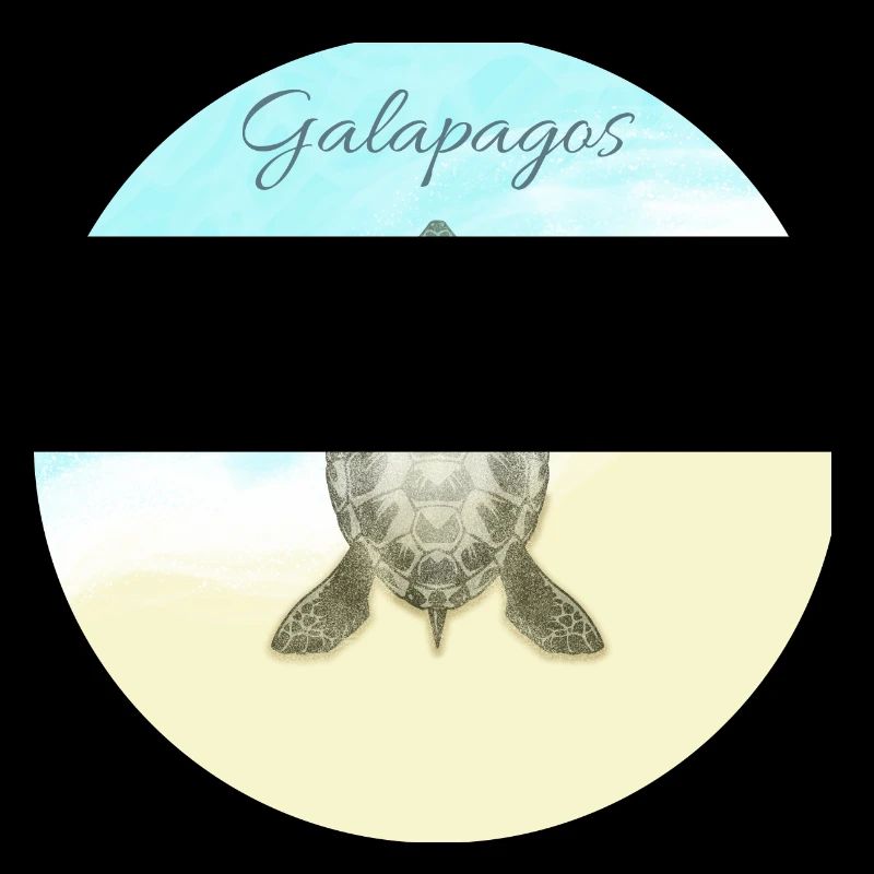 galapagos islands beach vacation sun turtle