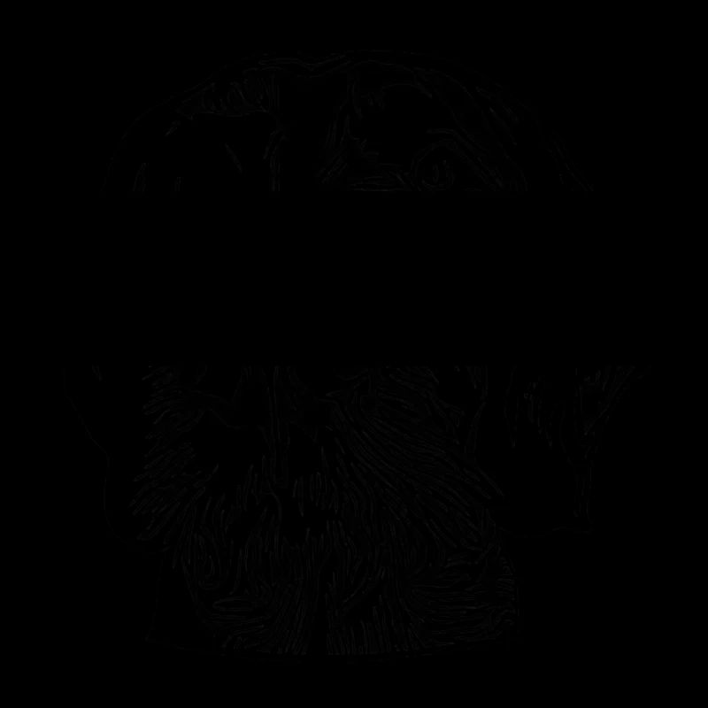 German Wirehaired Pointer