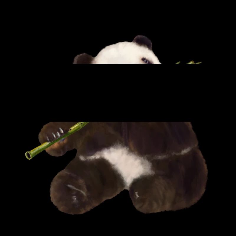 Paddy Panda