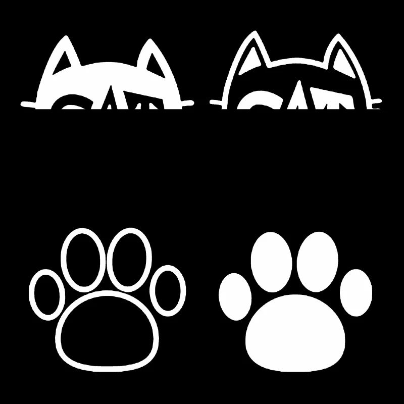 cat cat