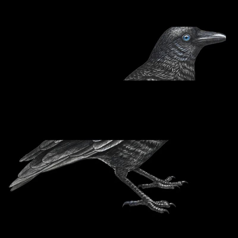 Krähenvogel