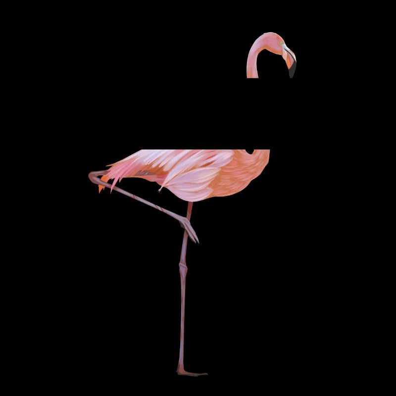flamingo