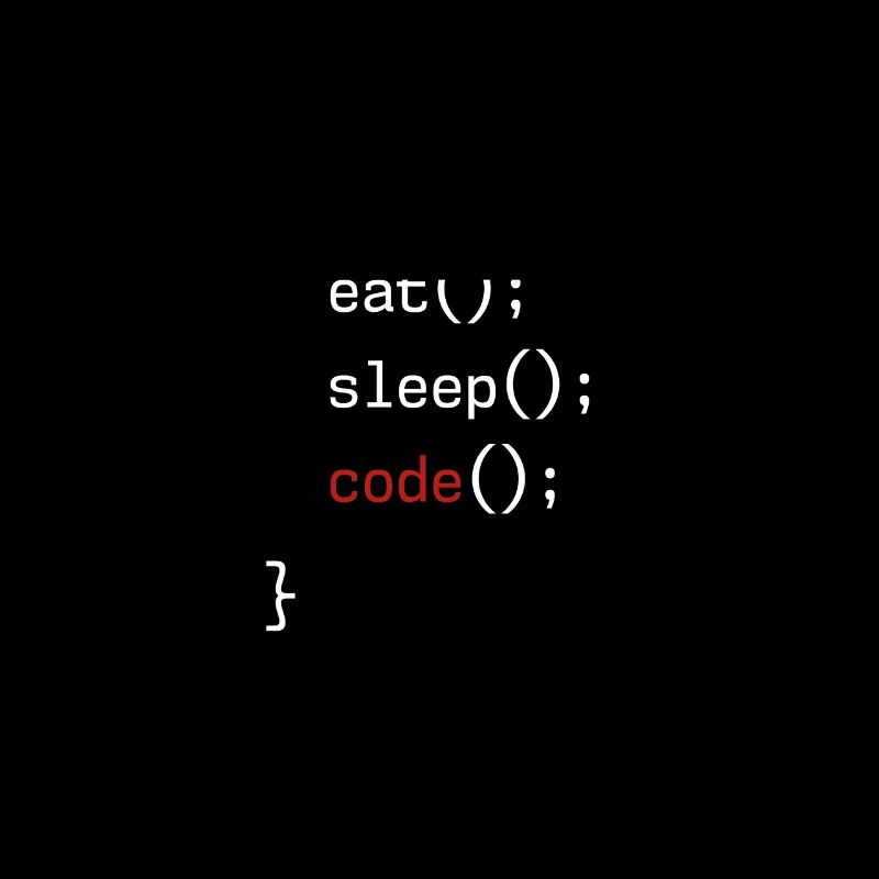 Administrateur Coding Geek Programmeur