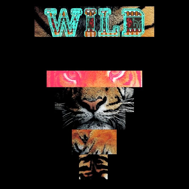 tiger21