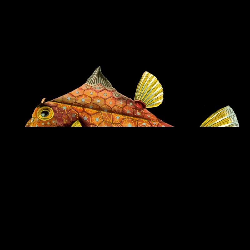 Fisch