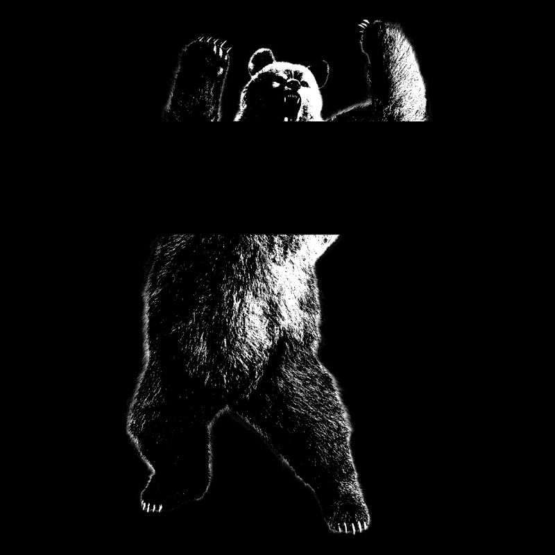 bär