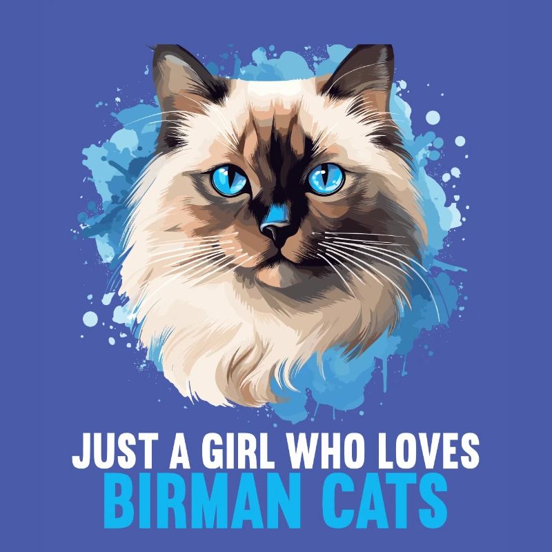 Chat de Birmanie Birma Katze