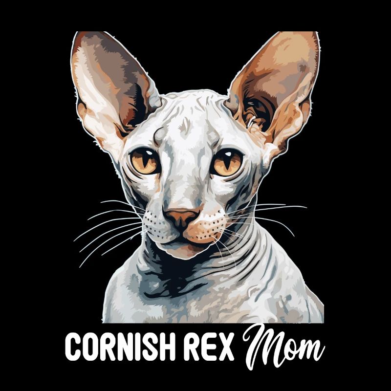 Cornish Rex Kätzchen Cornish Rex Katze