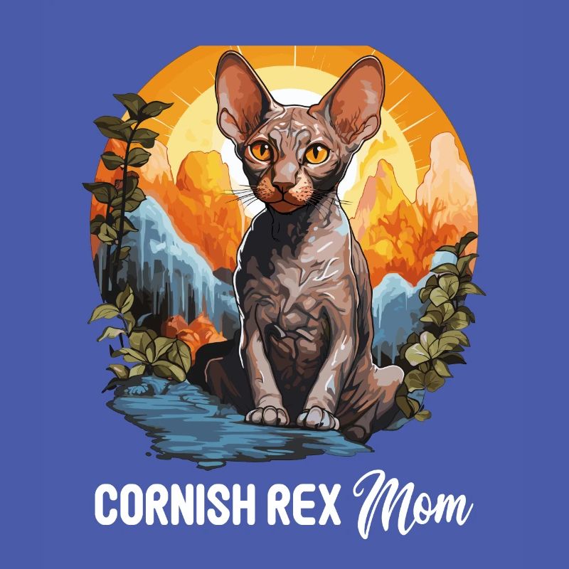Chaton Cornish Rex Chat Cornish Rex