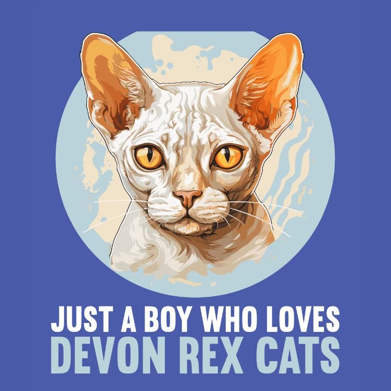 Devon Rex Kätzchen Devon Rex Katze