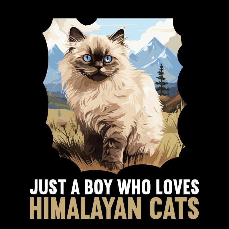 Himalayan Cat Colourpoint Katze