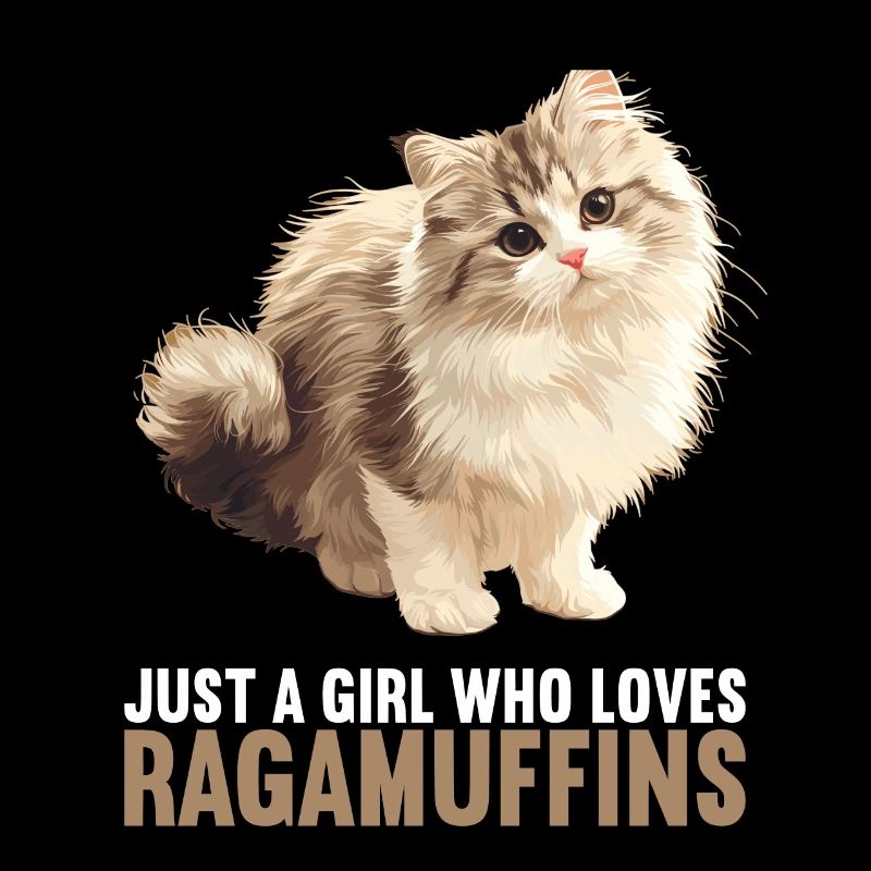 Ragamuffin Kätzchen Ragamuffin Katze