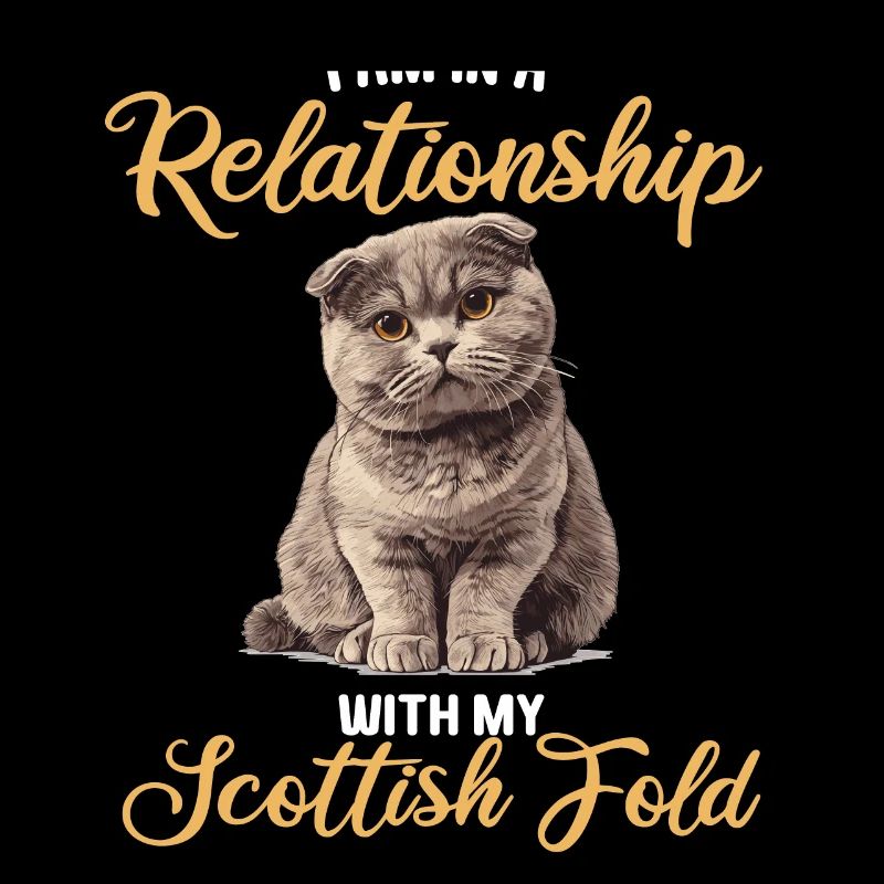 Scottish Fold Kitten Scottish Fold chat