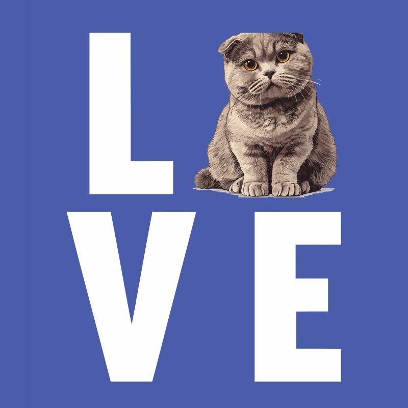 Scottish Fold Kitten Scottish Fold Cat