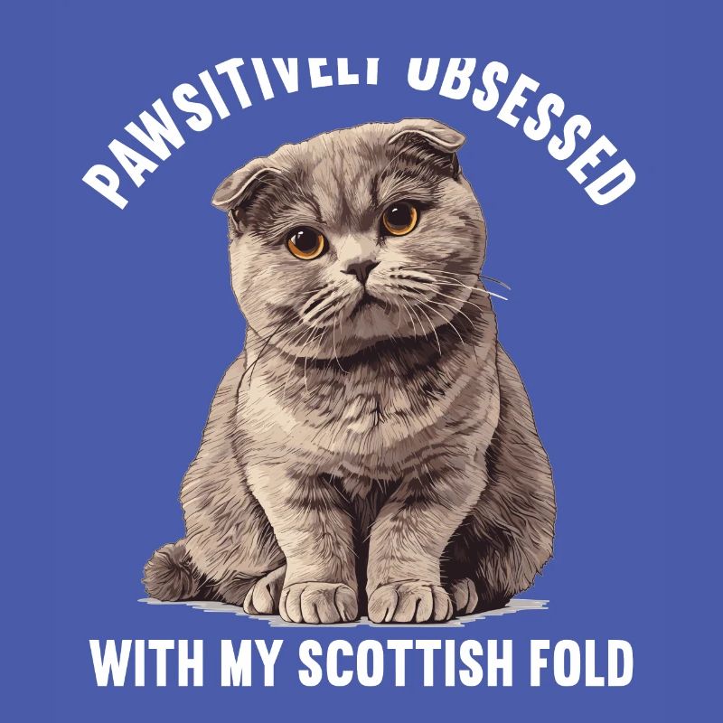 Scottish Fold Kitten Scottish Fold Cat
