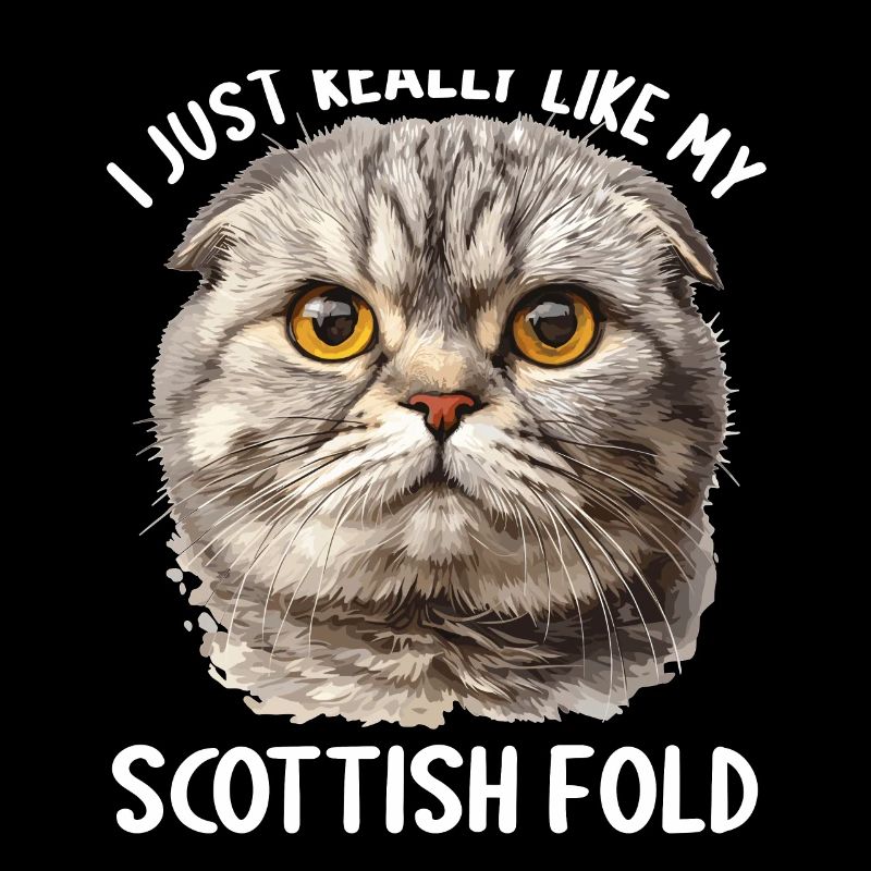 Scottish Fold Kätzchen Scottish Fold Katze