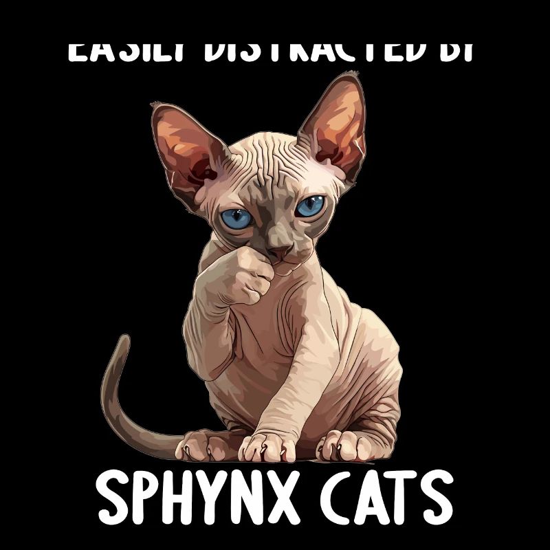 Chaton Sphynx Chat Sphynx