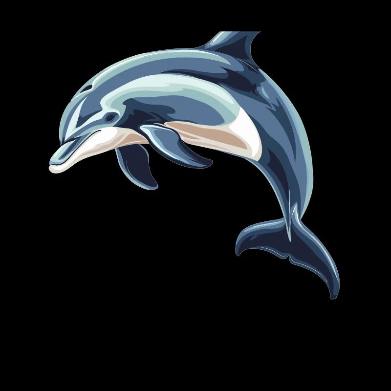 Dolphin Dolphins Dolphin