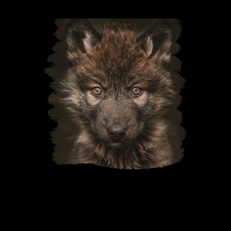 Wölfe Wolf
